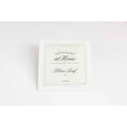 Amy Howard at Home Silver Silver Leaf