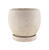 Syndicate Home & Garden Urban Earth 6-3/4 in. H x 5-3/4 in. W Stone Cement Planter