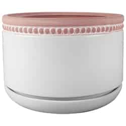 Trendspot 6 in. Dia. Whitewash Ceramic Ceramic Pot