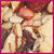 Cole's Nutberry Suet Blend Assorted Species Nutberry Suet Blend Wild Bird Seed Sunflower Meats