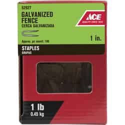 Ace 1 in. L Galvanized Steel 1 lb. Fence Staples