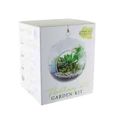 Syndicate Home & Garden 7 in. W Clear Plastic Floating Orb Garden Kit