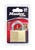 Master Lock 5/8 in. W x 2 in. L x 1-7/16 in. H Brass 4-Pin Cylinder 1 each Padlock