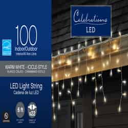 Celebrations Basic LED Mini Clear/Warm White 100 ct String Christmas Lights 5.67 ft.