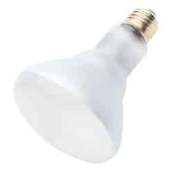 Westinghouse 65 watts BR30 Incandescent Light Bulb 650 lumens BR30 6 pk Frosted Reflector