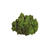 Mosser Lee  Soil Cover  Reindeer Moss  3 oz. 