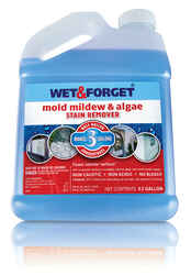Mildew and Mold