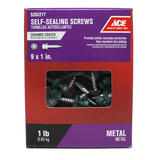 Ace 9 Sizes x 1 in. L Hex Hex Washer Head Ceramic Self-Sealing Screws 1 lb. Steel