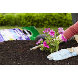 Miracle-Gro