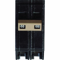 Eaton 100 amps Plug In 2-Pole Circuit Breaker