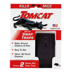 Mice