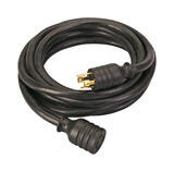 Reliance Controls 10/4 Generator Cord 20 ft. L