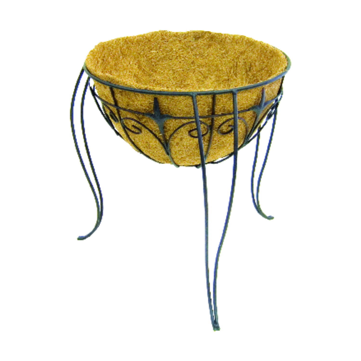 image-1