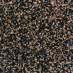 Wild Delight Special Finch Finch Wild Bird Food Sunflower Kernels 5 lb.