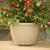 Gardeners Blue Ribbon 1 in. H x 12 in. W Clear Plastic Plant Saucer