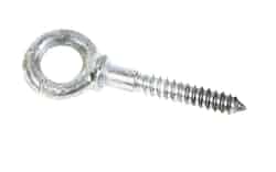 Baron 1/4 in. x 2 in. L Hot Dipped Galvanized Steel Lag Thread Eyebolt Nut Included