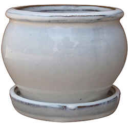 Trendspot 4 in. D Ceramic Planter Assorted