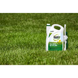 Roundup