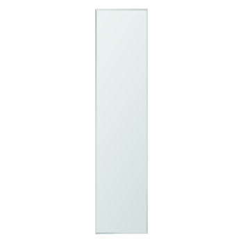 Erias 16 in. W x 60 in. H Full Length Door Mirror