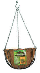Panacea Green Steel Hanging Basket