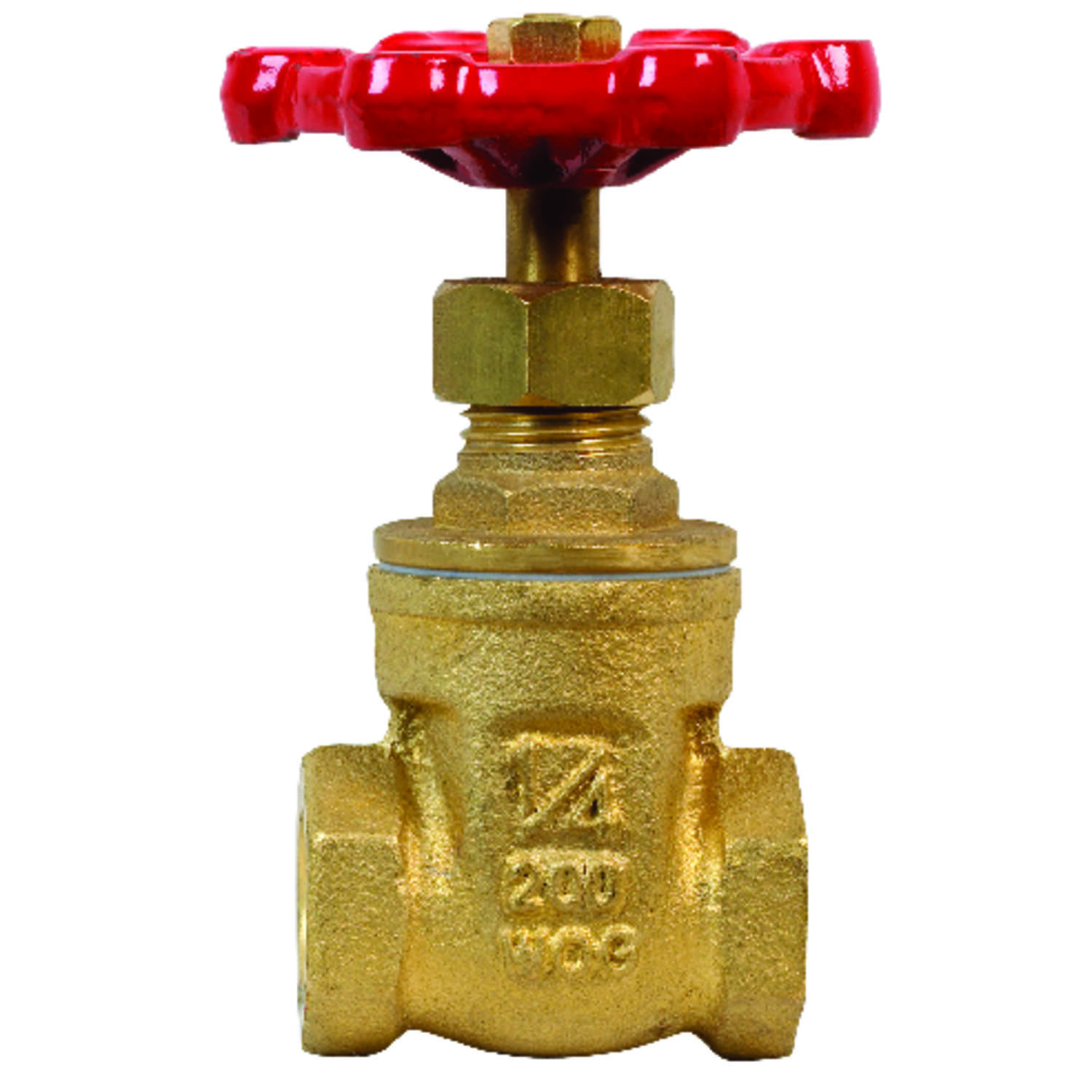 image-1