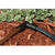 Rain Bird Drip Irrigation Hose Adaptor