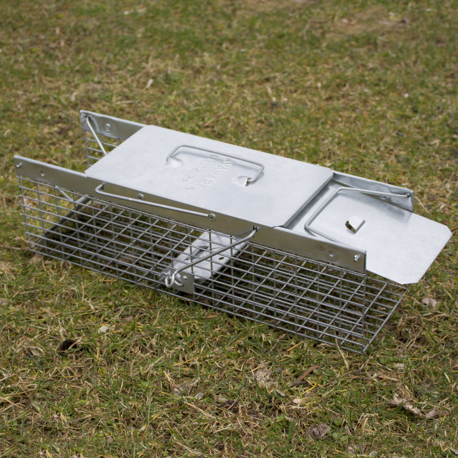 image-2