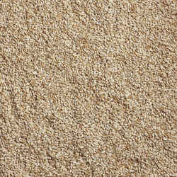 Kaytee Assorted Species Wild Bird Food Safflower Seeds 5 lb.