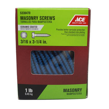 Ace 3/16 in. x 3-1/4 in. L Slotted Hex Washer Head Ceramic Steel Masonry Screws 1 lb. 60 pk