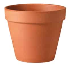 Deroma 5.7 in. H x 6 in. W Terracotta Clay Clay Traditional Planter