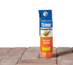 TERRO