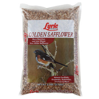 Lyric Assorted Species Wild Bird Food Safflower Seeds 5 lb.