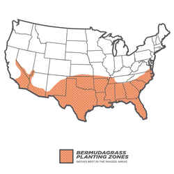 Pennington Seed