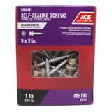 Ace 9 Sizes x 2 in. L Hex Ceramic Steel Self-Sealing Screws 1 lb. Hex Washer Head