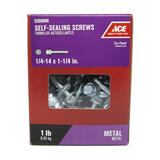 Ace 1/4-14 Sizes x 1-1/4 in. L Hex Hex Washer Head Zinc-Plated Steel 1 lb. Self-Sealing Screws