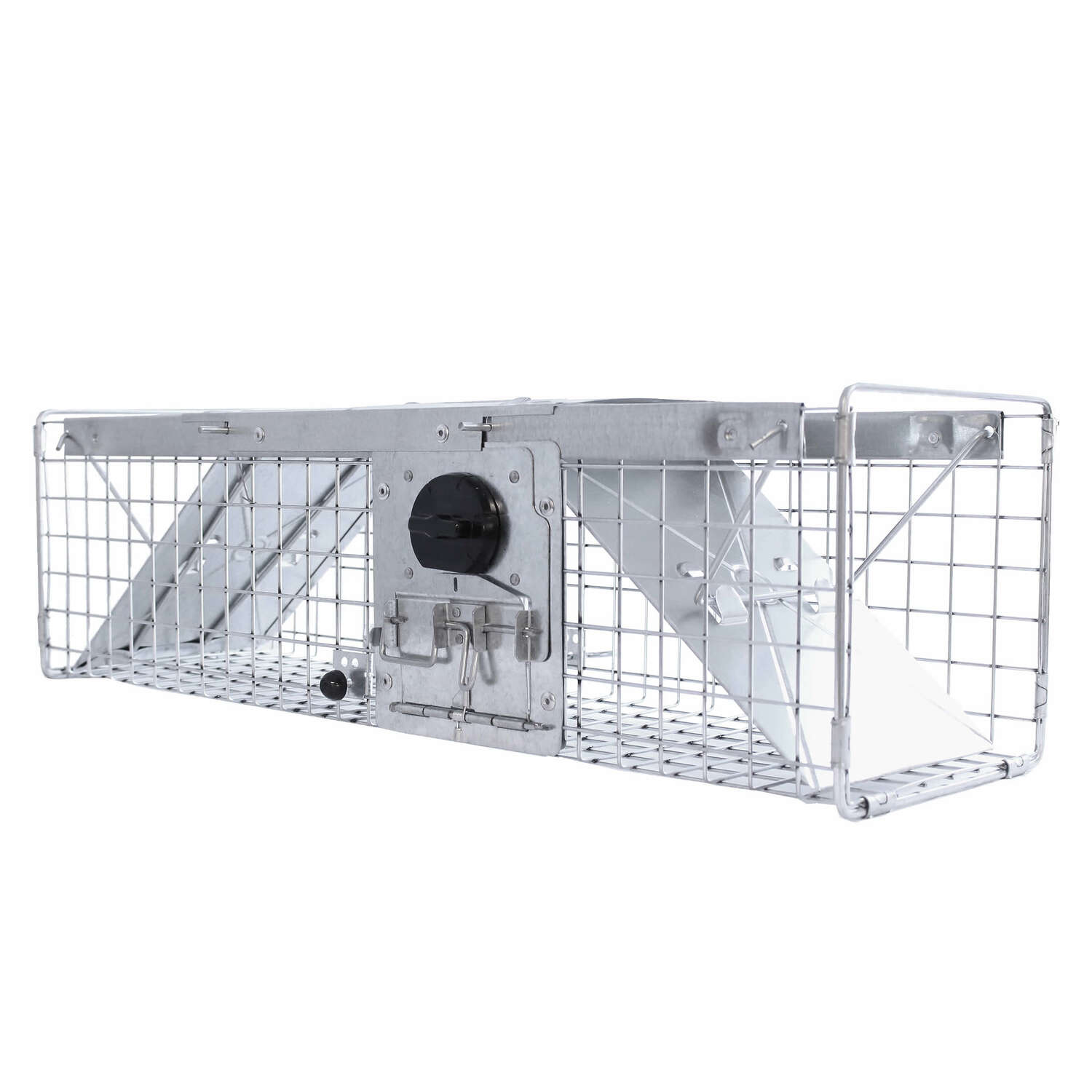 image-2