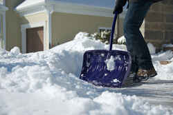 Garant Plastic 19 in. W Snow Shovel