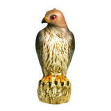 Bird-B-Gone Bird Deterrent Decoy For Red Tailed Hawks 1 pk