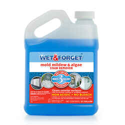 Mildew and Mold