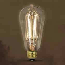 FEIT Electric The Original 60 watts ST19 Incandescent Bulb 305 lumens Soft White Vintage 1 pk