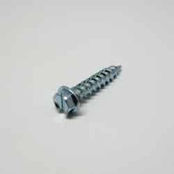 Ace 10 Sizes x 1 in. L Hex/Slotted Zinc-Plated Steel Self-Piercing Screws 1 lb. Hex Washer Hea