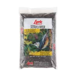 Lyric Assorted Species Wild Bird Food Black Oil Sunflower Seed 5 lb.