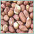 Cole's Assorted Species Wild Bird Food Raw Peanuts 5 lb.