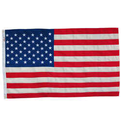 Valley Forge American Flag 36 in. H X 60 in. W