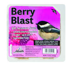 Heath Berry Blast Songbird Suet Beef Suet 11.25 oz.