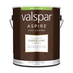 Valspar Aspire Satin Tintable Neutral Base Paint and Primer Exterior 1 gal