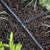 Raindrip Plastic 50 pk Drip Irrigation Tee