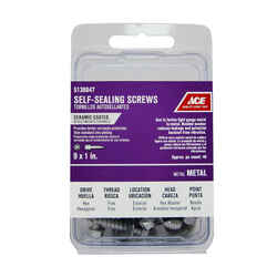 Ace No. 9 x 1 in. L Hex Hex Washer Head Ceramic Steel Self-Sealing Screws