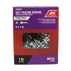 Ace 1 in. L x 9 Sizes Hex Hex Washer Steel Self-Sealing Screws 1 lb. Ceramic