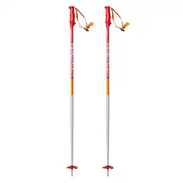 Volkl Men's Phantastick 2 Ski Poles